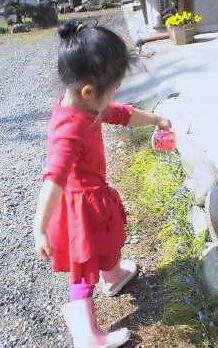 お花に水をあげてるよ。