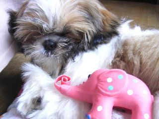 070325sleep.jpg