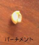 パーチメント