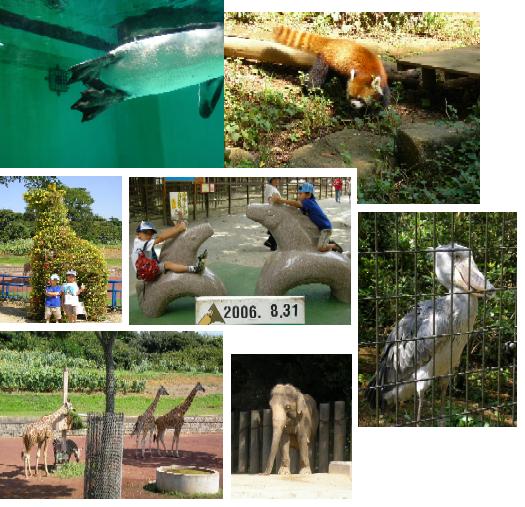 zoological park