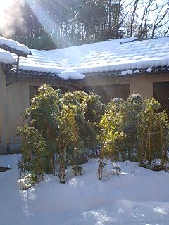 雪景色　お宿のお庭