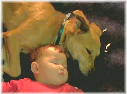 duerme