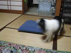 PC310118.JPG