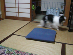 PC310116.JPG