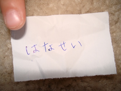 DSC03170.jpg