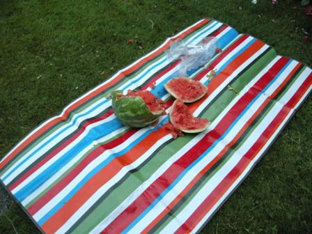 2011 tanabata suika.jpg