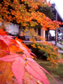 広隆寺