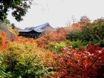 通天橋からの眺め