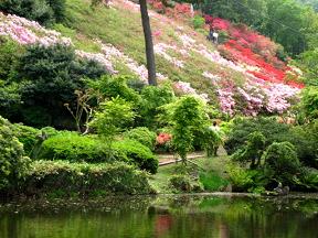 池のほとり