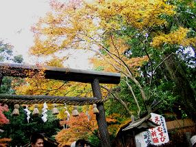 野々宮神社