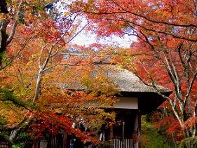 常寂光寺の中