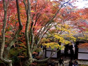 常寂光寺３