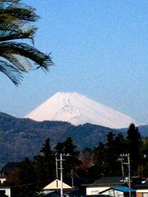 富士山