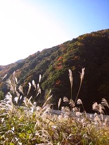 すすきと山