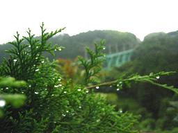 陸橋