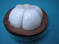 ﾏﾝｺﾞｽﾁﾝ7-1