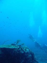 Blue Corner