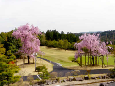 小萱OGMチェリークリークカントリークラブ