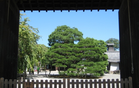 京都　醍醐 060.JPG