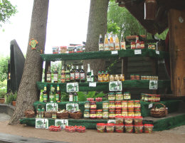 シュプレーヴァルト１１