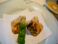 梅の花（２００８）６