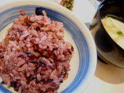 梅の花（２００８）８