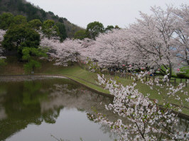 宇和運動公園３