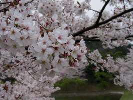 宇和運動公園４