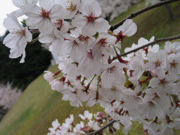 宇和運動公園５
