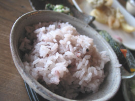 もにこど（１月）８