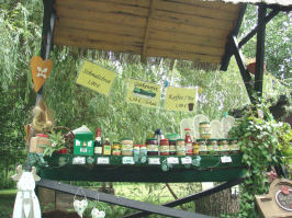 シュプレーヴァルト５