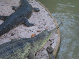 ナイトサファリ５