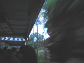 ナイトサファリ６