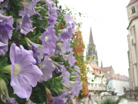 レーゲンスブルク７