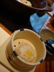 梅の花（２００８）４