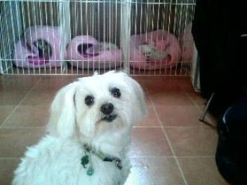 視線が・・・・