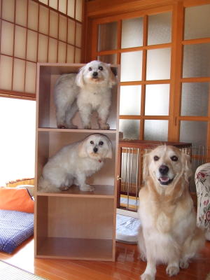 7一人足りない・・・・