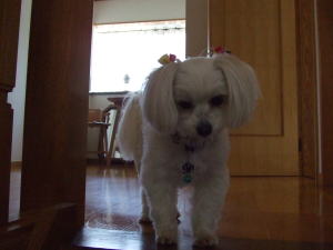 8何か騒がしいなぁ