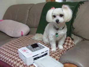 フォトプリンター