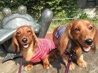 20071108-1.jpg
