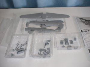 ﾊｾｶﾞﾜ48飛燕01.jpg