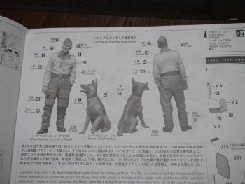 ハセガワ32スツーカＧ-2_03.jpg