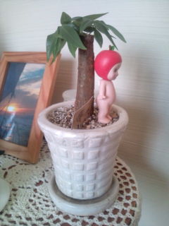 20110104142715.jpg