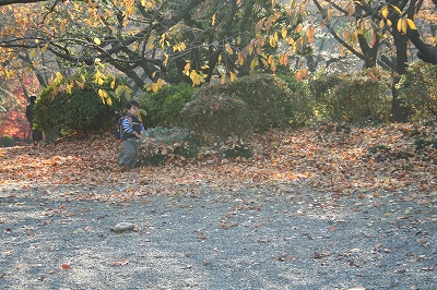 落ち葉と戯れる。。