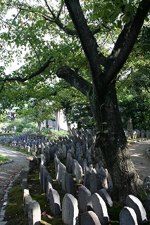 元興寺８