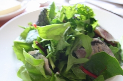 ミックスハーブサラダ