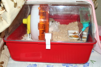 熱いときの逃げ場所