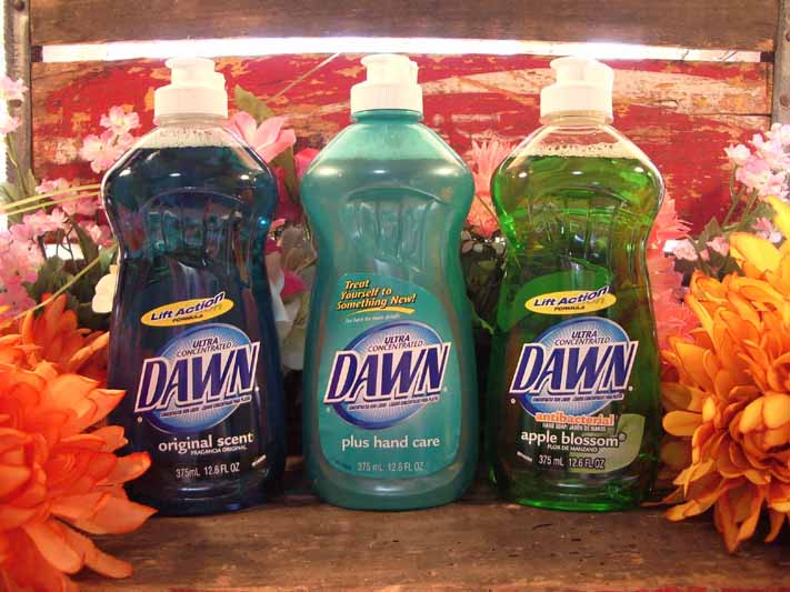 dawn2