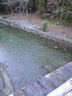橋から見た五十鈴川.jpg