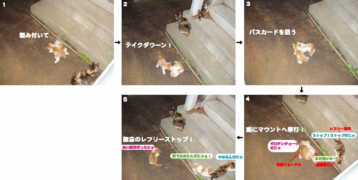 猫PRIDE